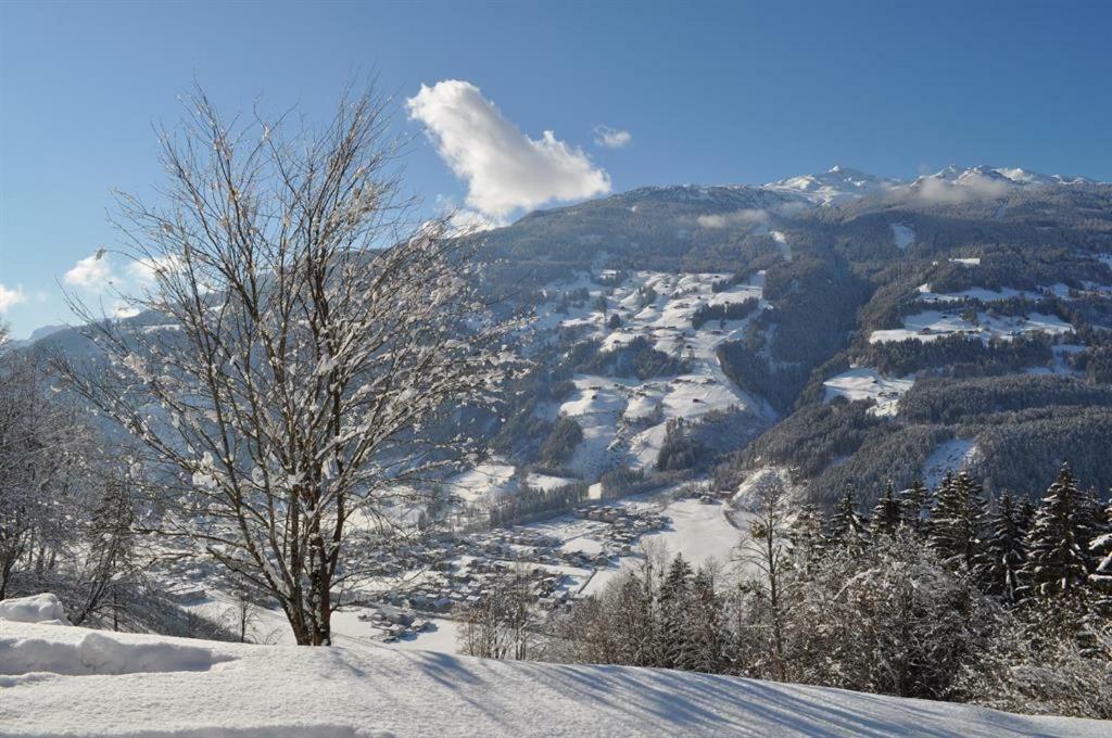 Appartamento Schweinberger Sixtus Aschau Im Zillertal Esterno foto