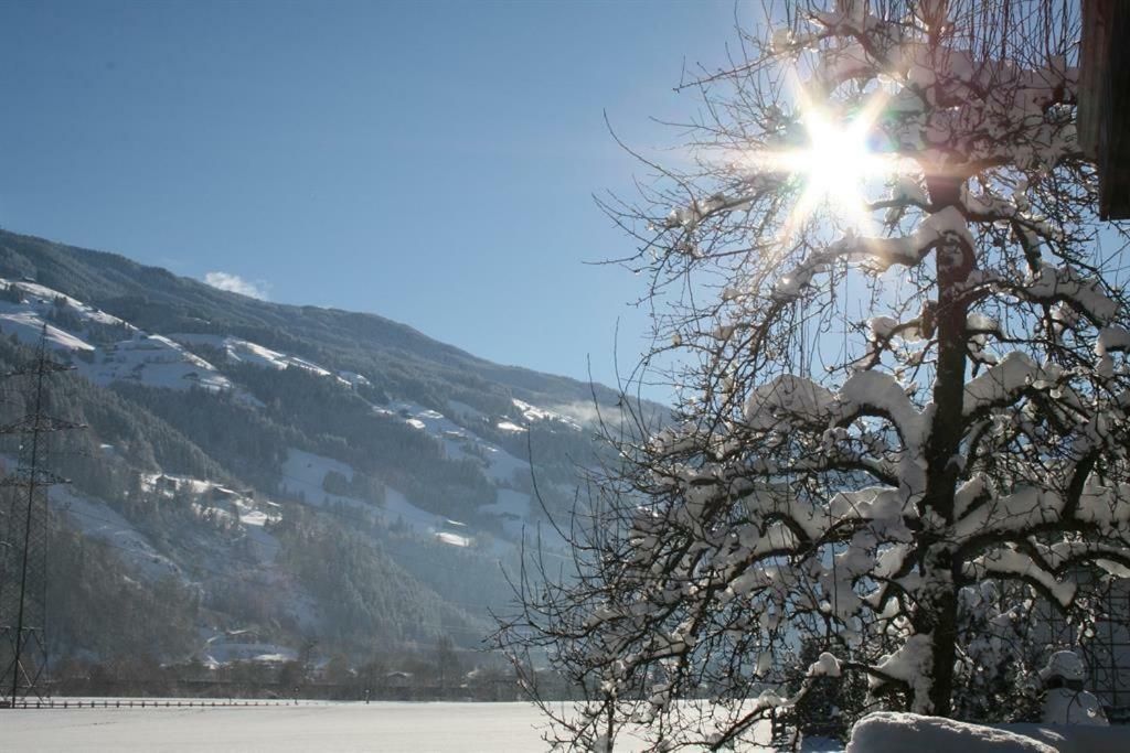 Appartamento Schweinberger Sixtus Aschau Im Zillertal Esterno foto