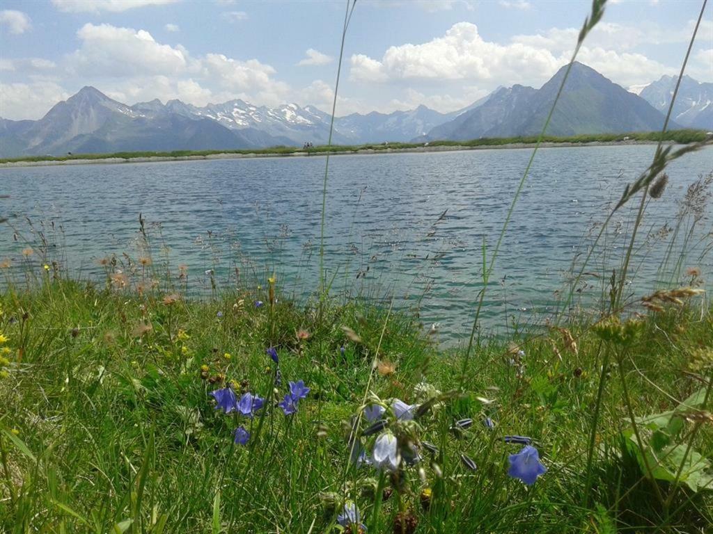 Appartamento Schweinberger Sixtus Aschau Im Zillertal Esterno foto